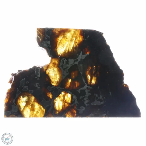 Brahin Pallasite Meteorite 11.5g