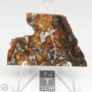 Brahin Pallasite Meteorite 11.5g