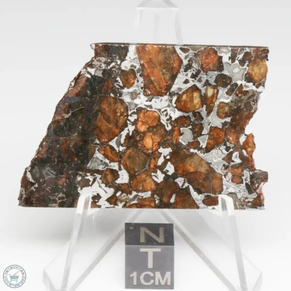 Brahin Pallasite Meteorite 12.8g