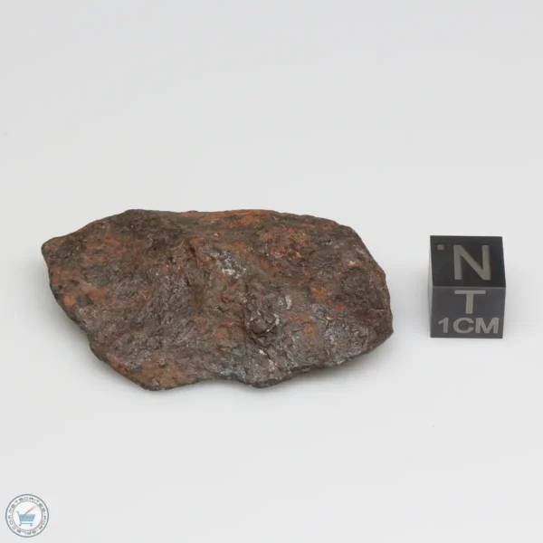 Canyon Diablo Meteorite 40.7g