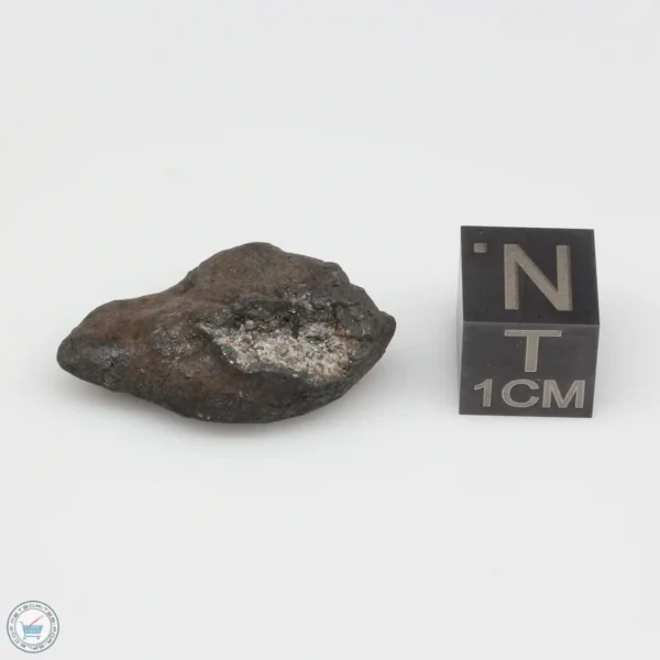 Chergach H5 Meteorite 5.0g