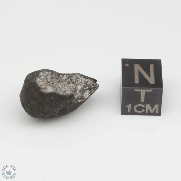 Chergach H5 Meteorite 5.9g