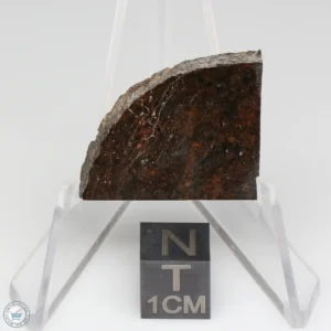 Dhofar 020 Meteorite 8.0g