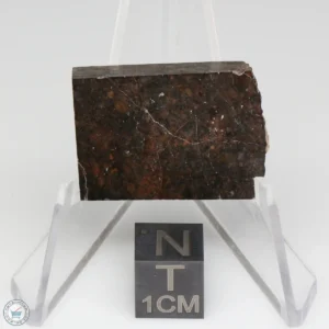 Dhofar 020 Meteorite 9.8g