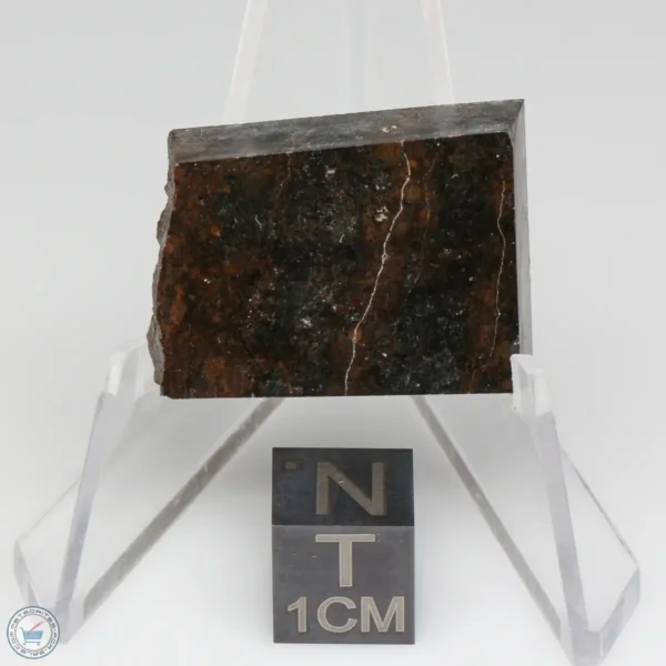 Dhofar 020 Meteorite 13.0g