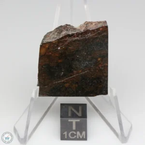 Dhofar 020 Meteorite 16.7g