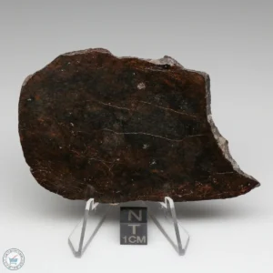 Dhofar 020 Meteorite 43.4g