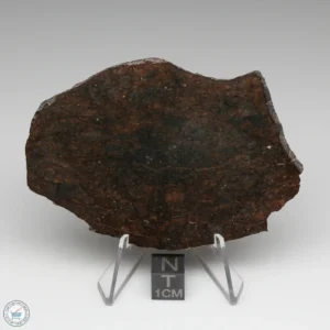 Dhofar 020 Meteorite 39.2g