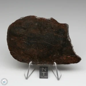 Dhofar 020 Meteorite 44.0g