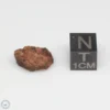 Dalgety Downs Meteorite 1.4g