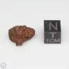 Dalgety Downs Meteorite 1.7g