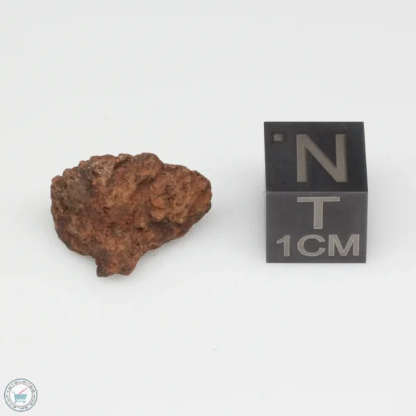 Dalgety Downs Meteorite 1.7g