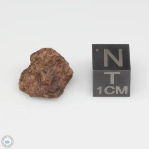 Dalgety Downs Meteorite 2.1g