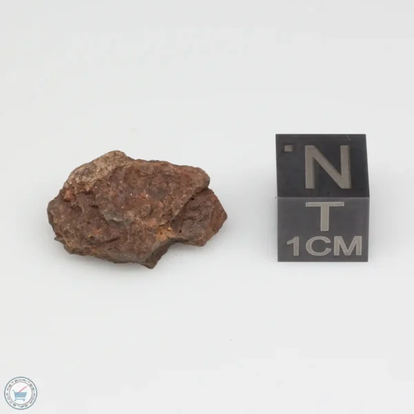 Dalgety Downs Meteorite 2.7g