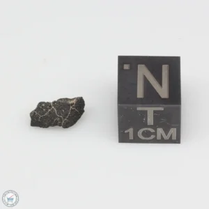 Jbilet Winselwan CM2 Meteorite 0.19g