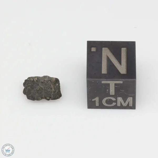 Jbilet Winselwan CM2 Meteorite 0.20g