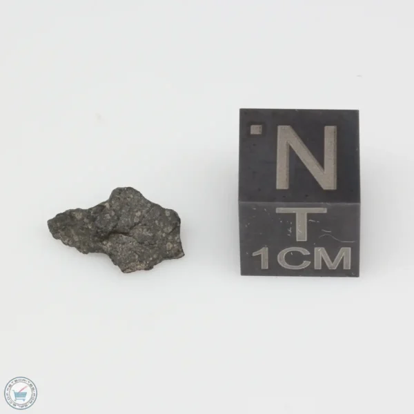 Jbilet Winselwan CM2 Meteorite 0.26g