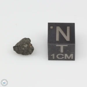 Jbilet Winselwan CM2 Meteorite 0.31g