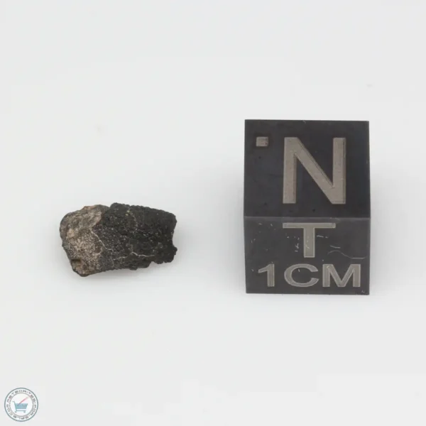 Jbilet Winselwan CM2 Meteorite 0.28g