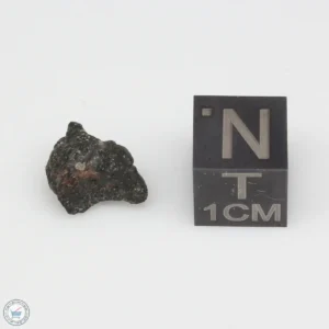 Jbilet Winselwan CM2 Meteorite 0.64g