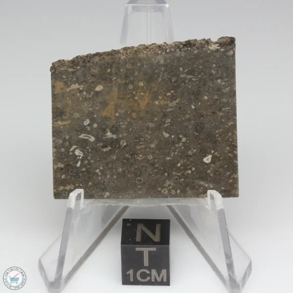 NWA 14743 Meteorite 9.3g