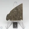 NWA 14743 Meteorite 8.0g