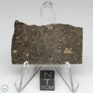 NWA 14743 Meteorite 10.8g