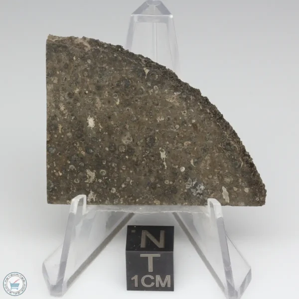 NWA 14743 Meteorite 9.6g