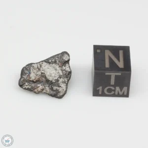 Oued Sfayat Meteorite 1.4g