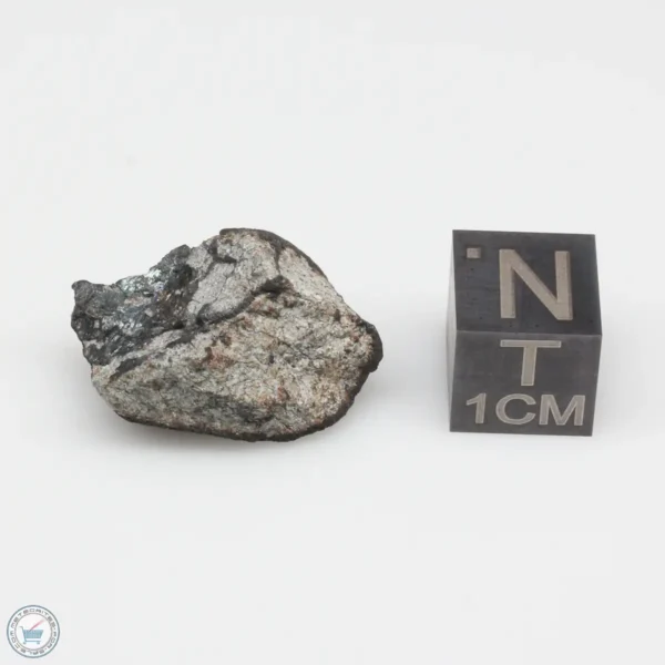 Oued Sfayat Meteorite 4.8g