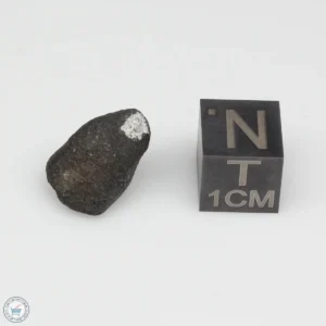 Oued Sfayat Meteorite 2.0g