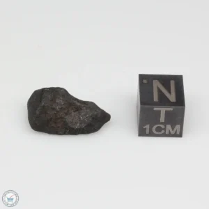 Oued Sfayat Meteorite 1.9g