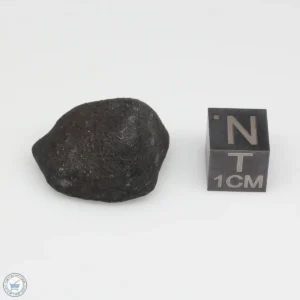 Oued Sfayat Meteorite 9.4g