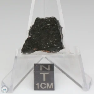 Tsarev Meteorite 2.2g