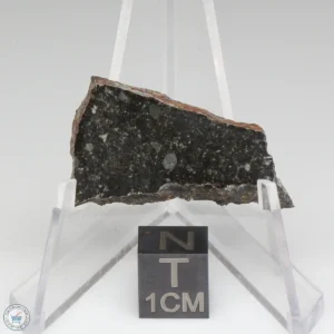 Tsarev Meteorite 3.0g