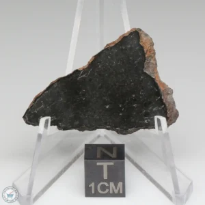 Tsarev Meteorite 4.3g