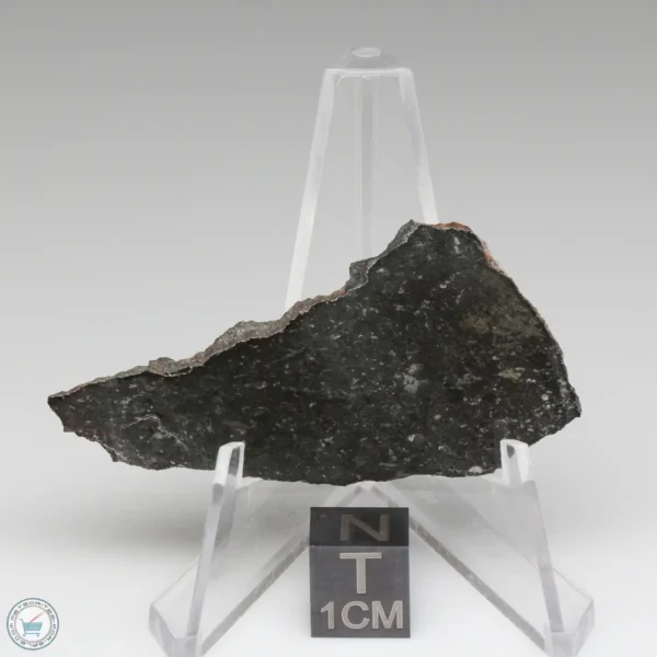 Tsarev Meteorite 6.5g