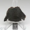 Tsarev Meteorite 8.4g