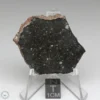 Tsarev Meteorite 10.2g