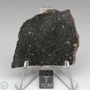 Tsarev Meteorite 12.8g