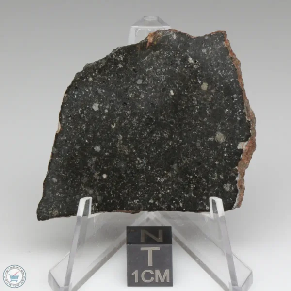 Tsarev Meteorite 12.8g