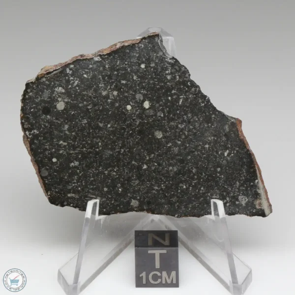 Tsarev Meteorite 14.1g