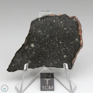 Tsarev Meteorite 11.8g