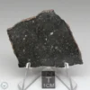 Tsarev Meteorite 13.7g