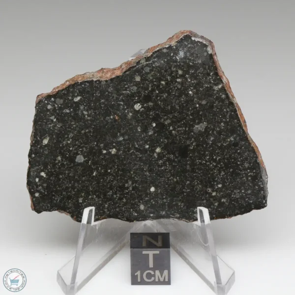 Tsarev Meteorite 19.8g