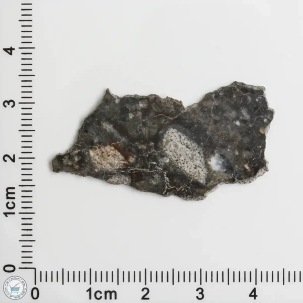 NWA 11182 Lunar Meteorite 1.94g