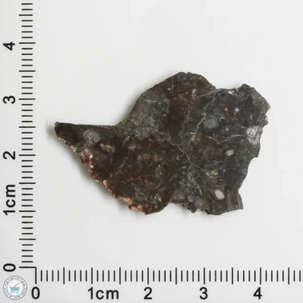 NWA 11182 Lunar Meteorite 2.94g