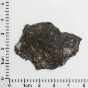 NWA 11182 Lunar Meteorite 3.62g