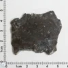 NWA 11182 Lunar Meteorite 8.52g