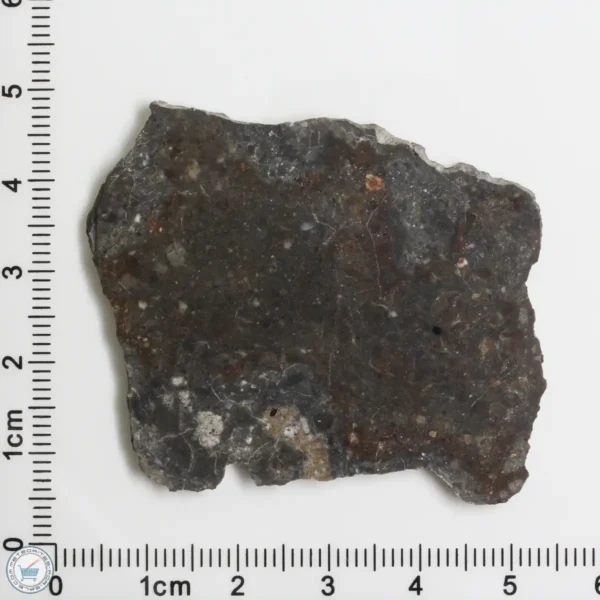 NWA 11182 Lunar Meteorite 9.4g